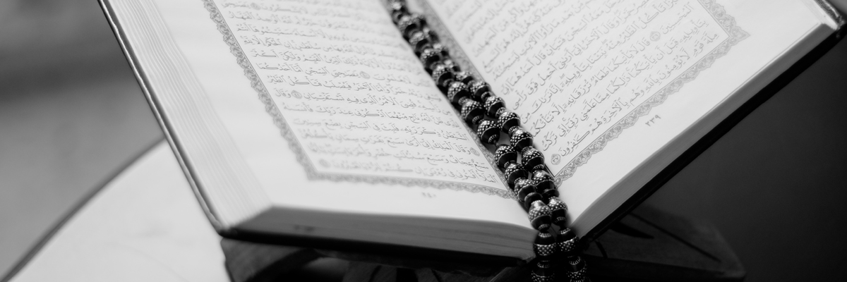 Cihaddan alıkoymanın yeni yöntemi: Tekfir